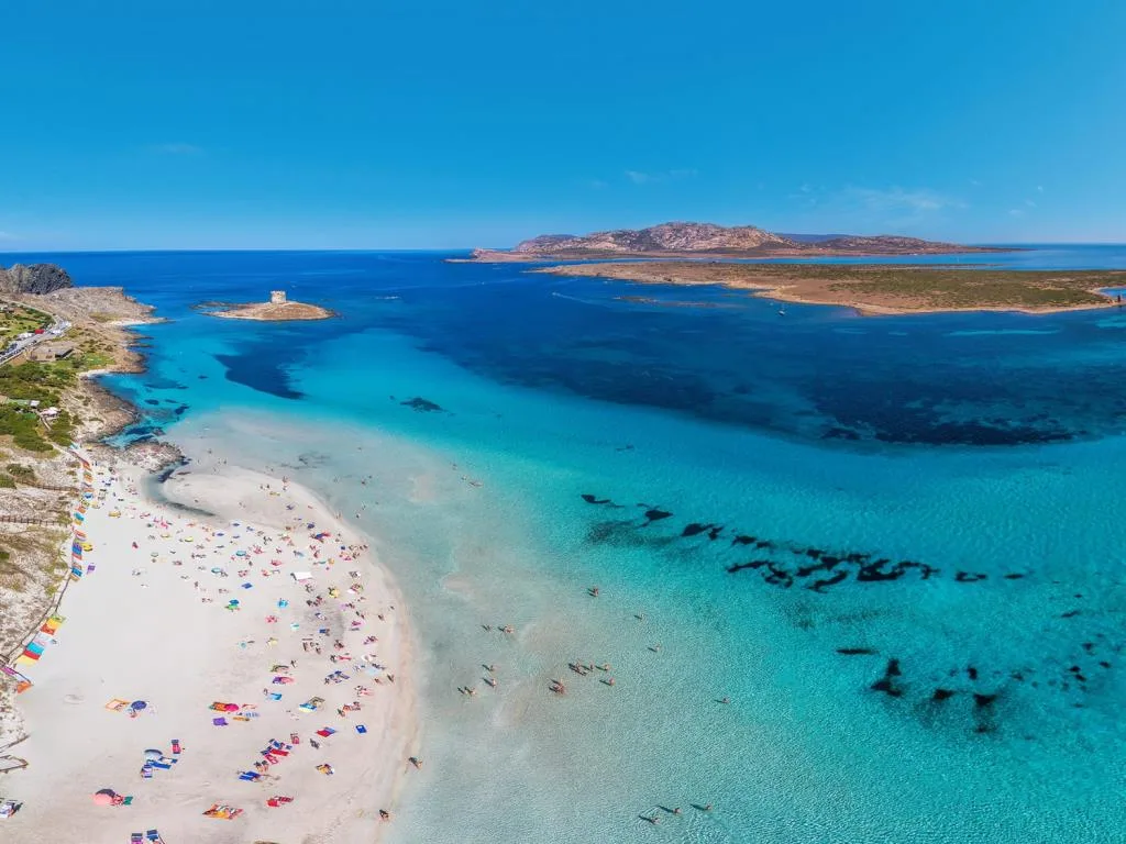 mare
