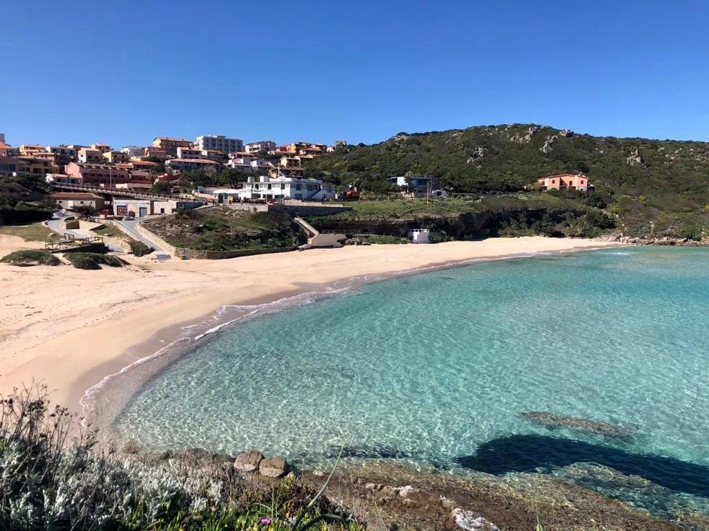 mare