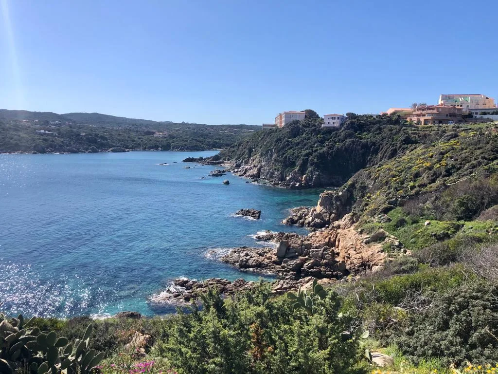 mare