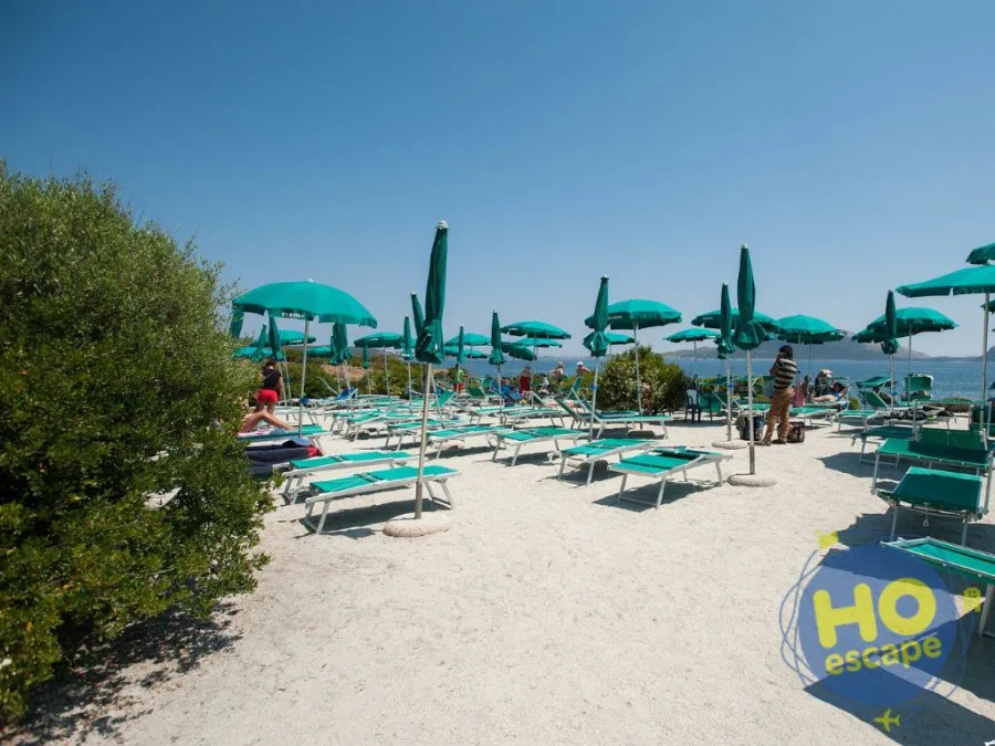 File di lettini e ombrelloni verdi su spiaggia con turisti e vista sul mare