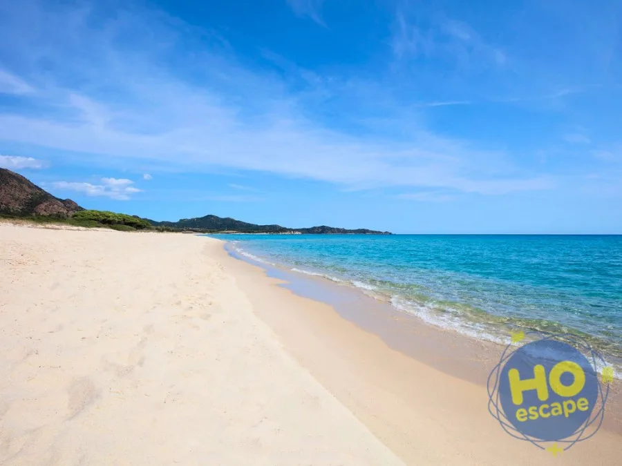 Spiaggia di sabbia dorata con mare cristallino e cielo azzurro