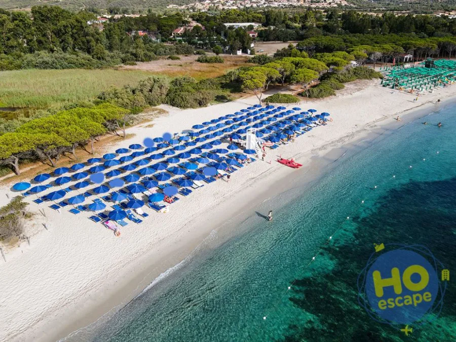 Spiaggia attrezzata con ombrelloni blu, pini marittimi e mare limpido
