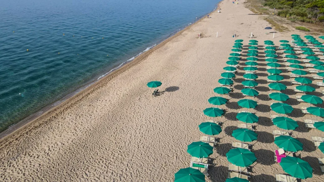 Spiaggia con ombrelloni verdi disposti in file e mare limpido