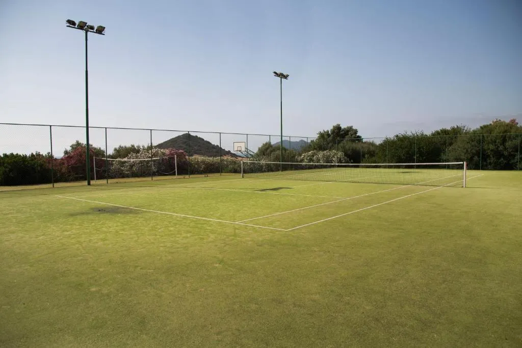 Campo da tennis in erba sintetica con illuminazione e vegetazione intorno