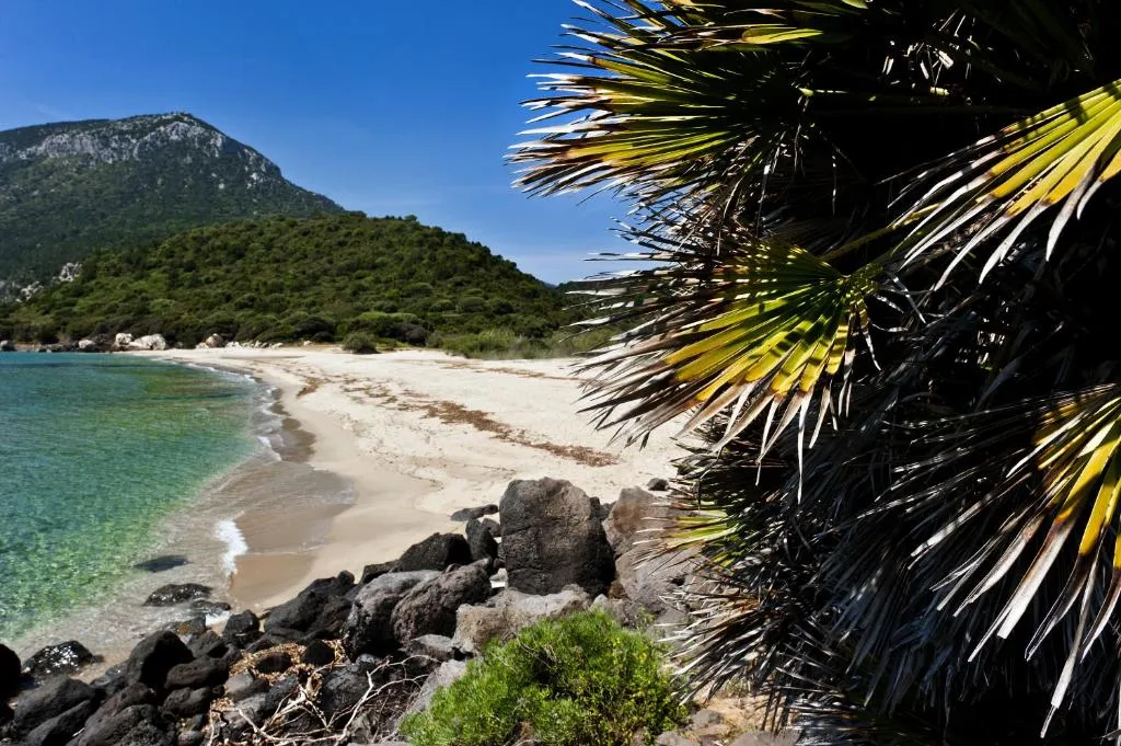 Spiaggia di sabbia con mare cristallino, rocce, collina verde e palme