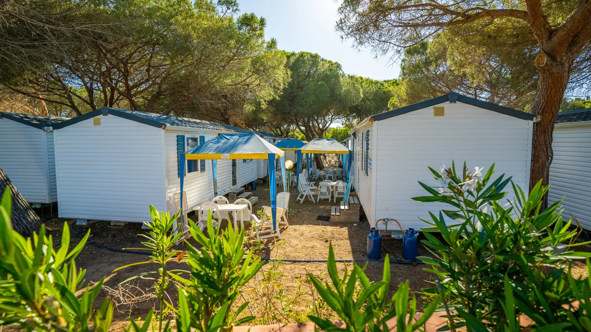 Case mobili bianche con gazebo blu tra i pini del campeggio