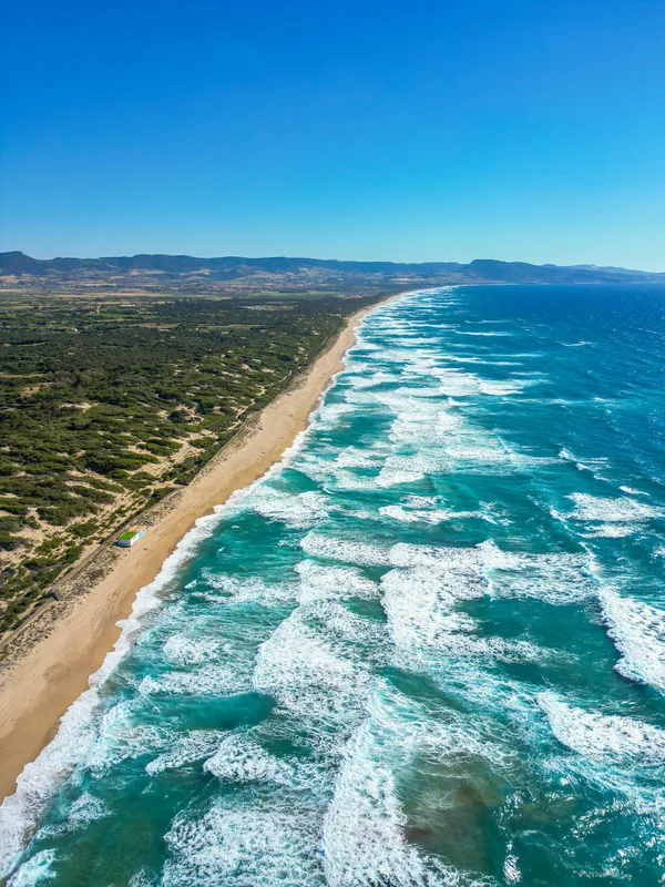 Vista aerea di una lunga spiaggia con onde dell'oceano e dune verdi