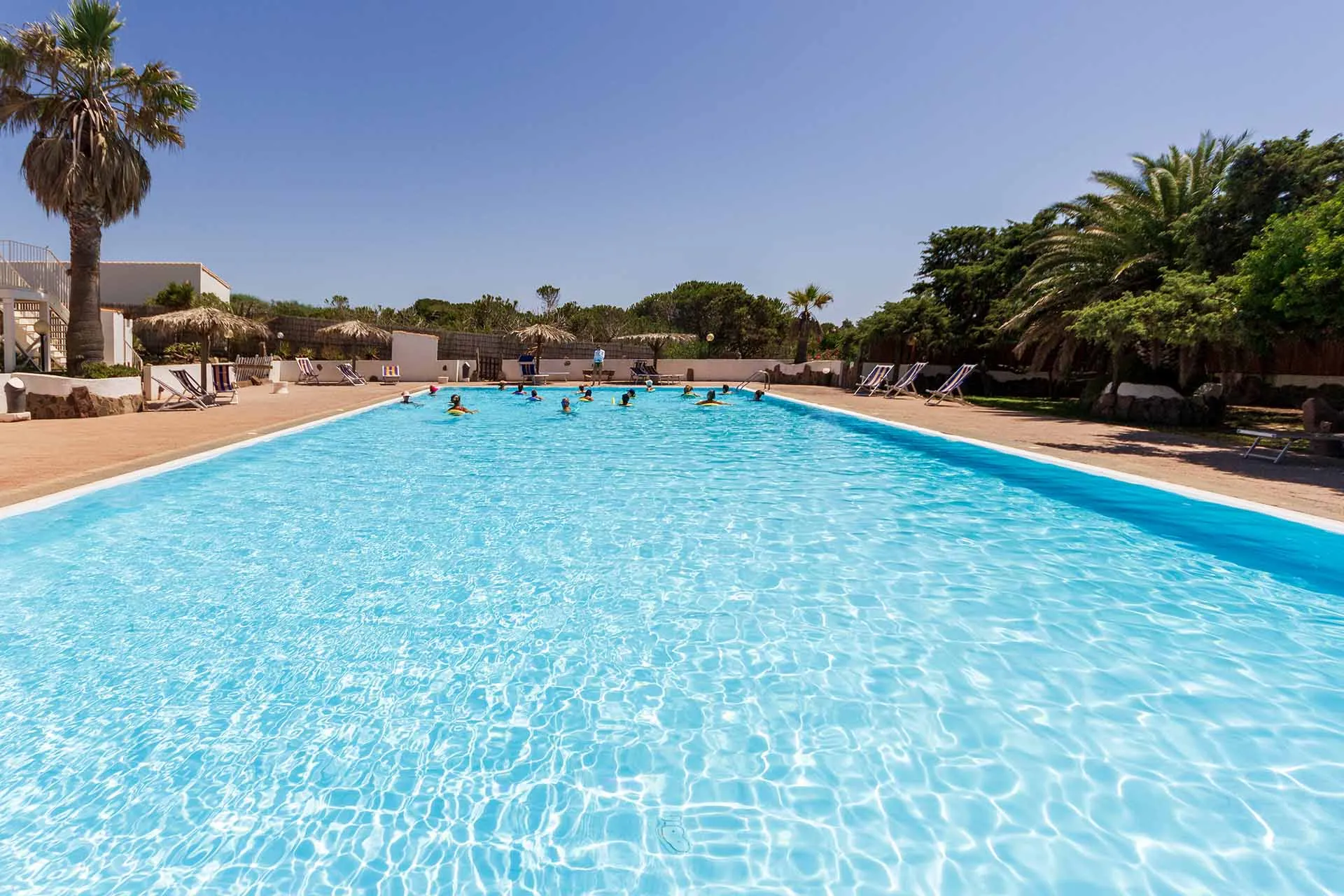 Piscina con bagnanti che fanno attività in acqua tra le palme