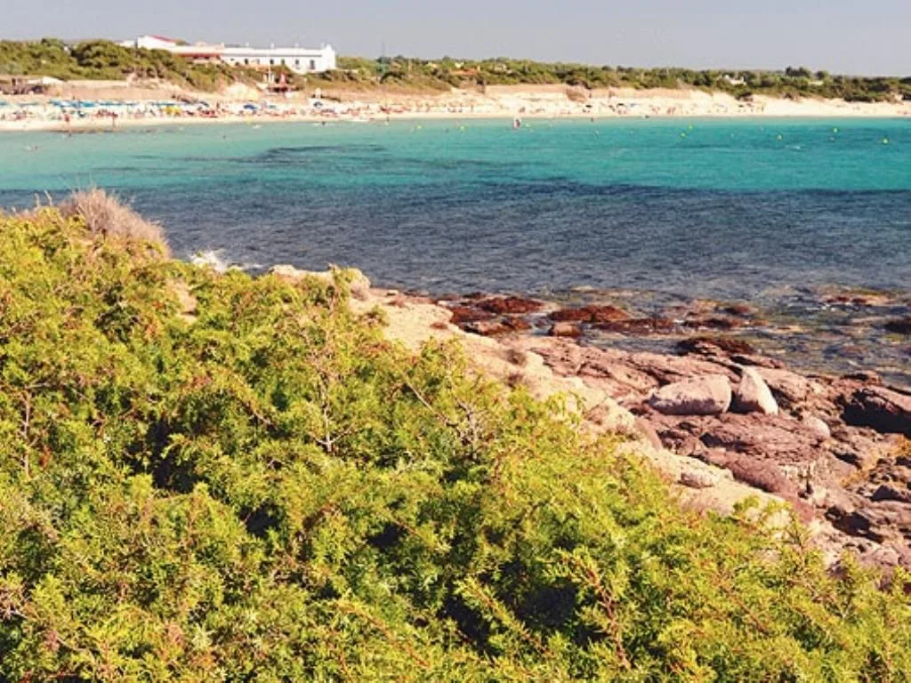 Spiaggia con mare turchese vista dalla costa rocciosa con vegetazione