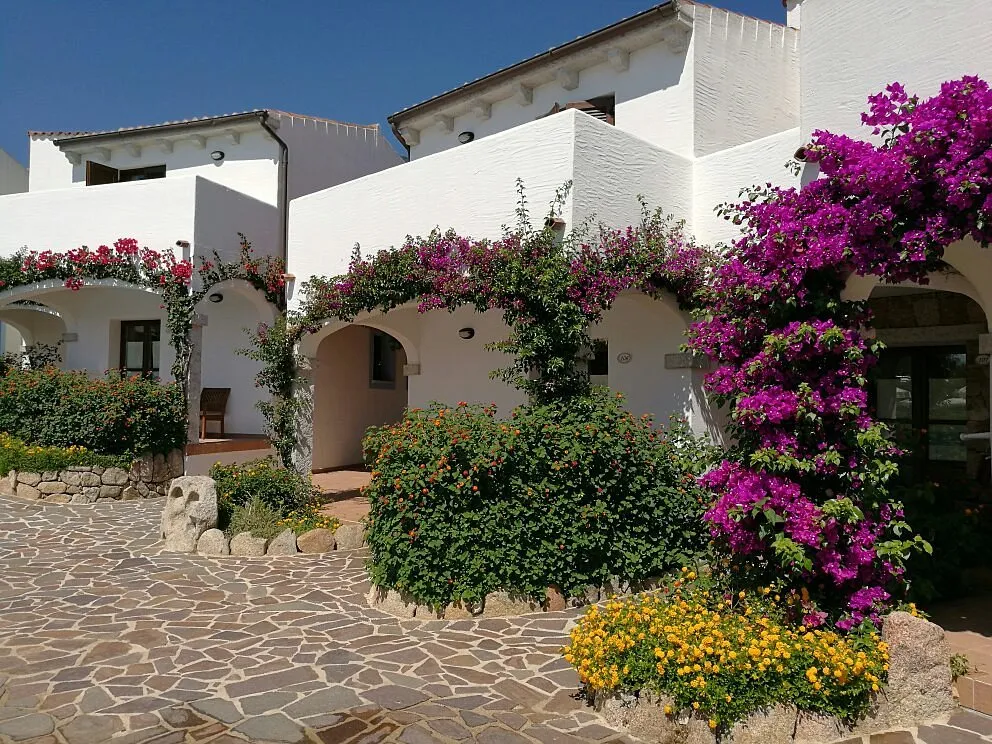 Edifici bianchi mediterranei con bouganville viola e fiori gialli su vialetto in pietra