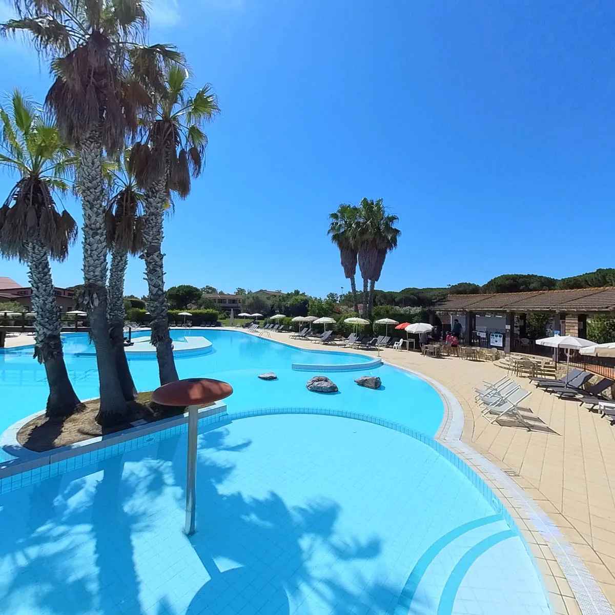 Piscina con palme al centro, area bar e lettini sotto il cielo azzurro
