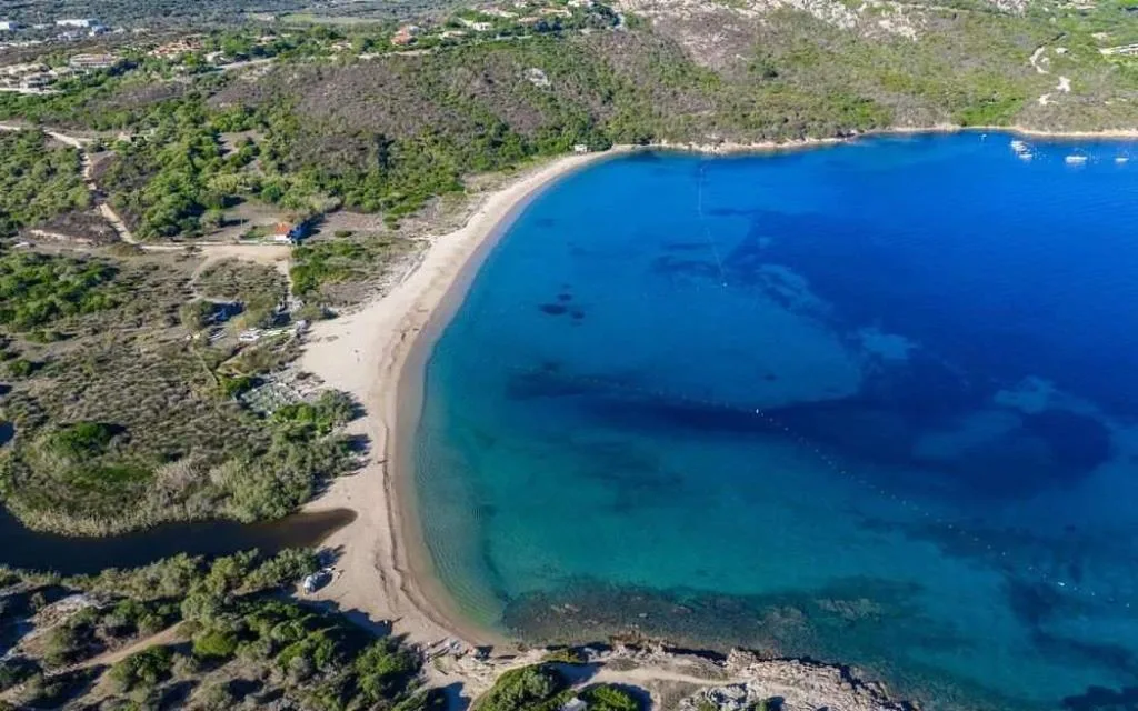 Veduta aerea di spiaggia sabbiosa e mare turchese immersi nella natura