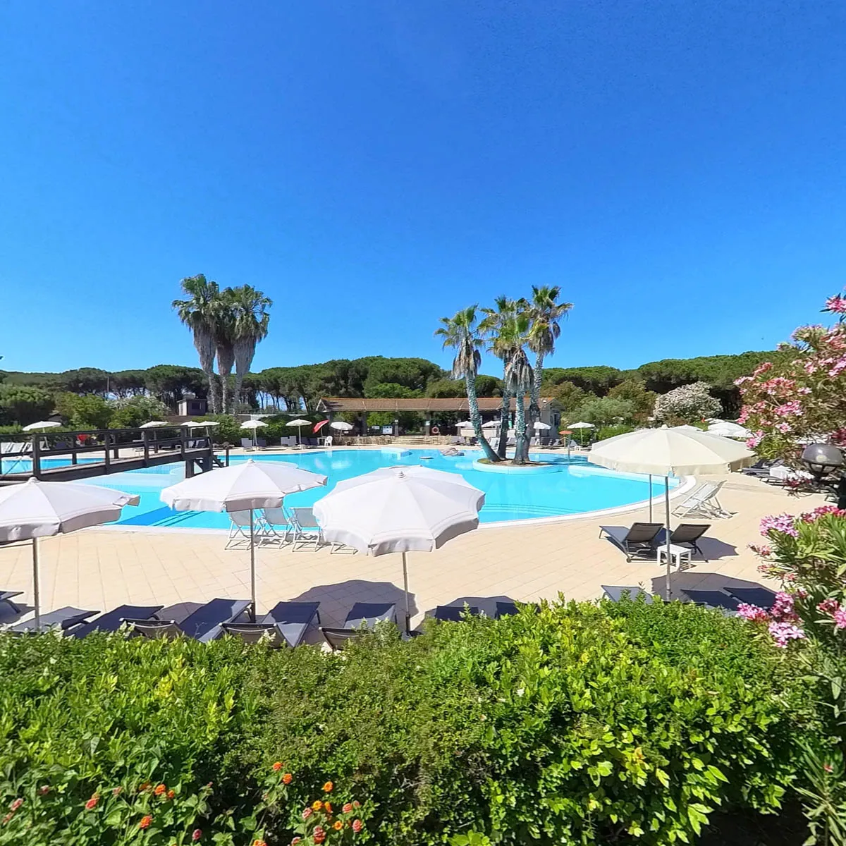 Piscina vista da un giardino fiorito con ombrelloni bianchi, lettini e palme sotto il cielo sereno