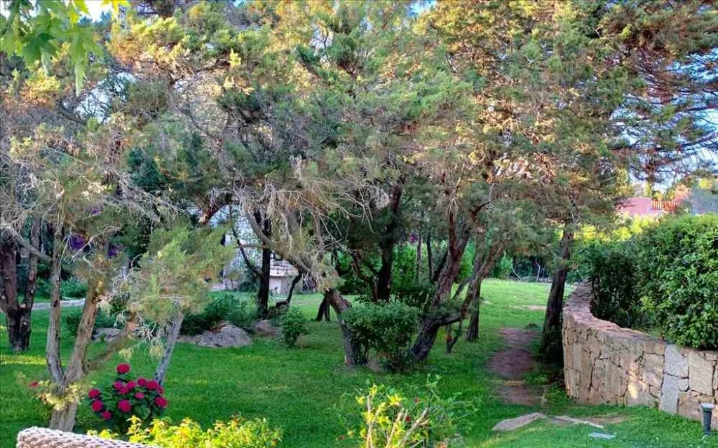 Giardino
